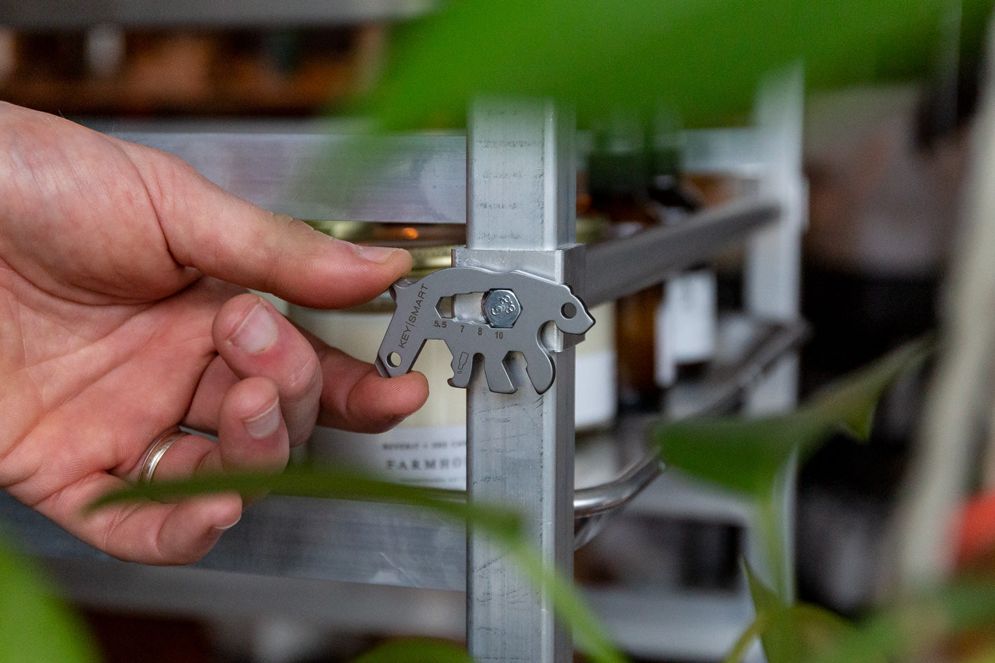 Alltul Multitool Bear